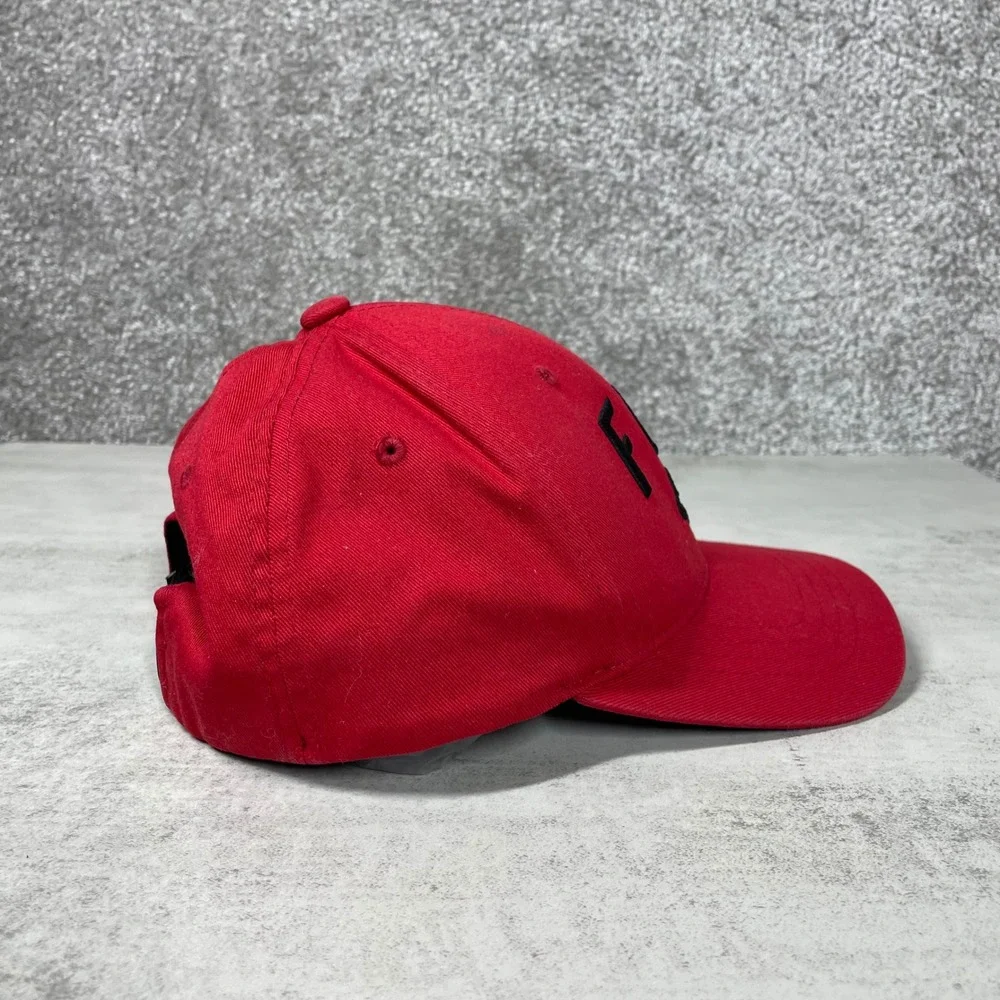 Fox hat has